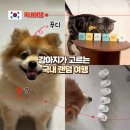 북삼리 | 연천 1박2일 코스 강아지가 고른 즉흥 여행