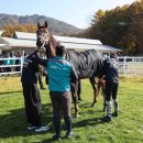 장수목장 이미지