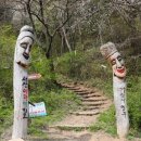 아라메길(1-1) 이미지