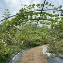 자영목장 이미지