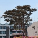 의성군농업기술센터(금성지소) 이미지