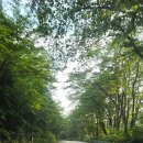 충청북도 보은군 보은읍 보은로 104 이미지