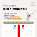 스무살의꿈동물병원
