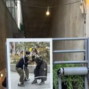 자연사랑 미술관 | 뚝섬미술관 전시 사랑의 단상 후기 뚝섬데이트