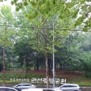 경기도 수원시 권선구 권중로 171 이미지