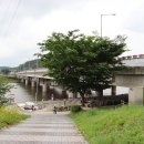 (구)김화교 이미지