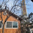 삼대막국수 이미지