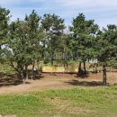 죽도대나무마을 영어조합법인 이미지