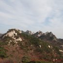 느티나무사거리 이미지