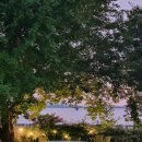 캐나다 멍 빌리지 이미지