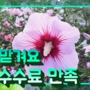 11530-02-02 이미지