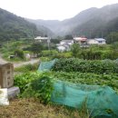 유장목장 이미지