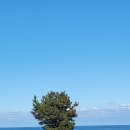 옥계주유소 이미지