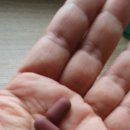 마마메디 이미지