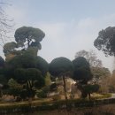 오원택 행정사 사무소 이미지