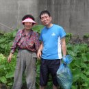 김광석 농장 이미지