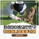 하이농장 | 화성 봉담 아이랑 가볼만한곳 동물과 교감하는 하이애니멀 카페 후기