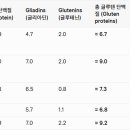 100년전 밀과 현재 밀의 글루텐. 밀, 보리에 들어있는 글루텐 함량... 이미지