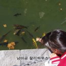 강태공민박 이미지