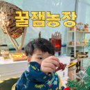 칠곡꿀잼농원