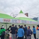 화서장터 협동조합 | 연천 고려인삼축제, 체험 프로그램·인삼 직거래장터·맛집·숙소