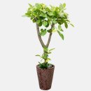 중앙고무 이미지