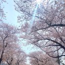 학송식당 | [봉사]영암/나주 왕인문화축제 2박 3일 봉사 상세 후기!!