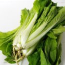 (주)로가닉 이미지