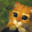 도원결의 태권도장 이미지