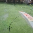 옥자네애견카페 유치원 호텔 미용 이미지