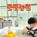 칠곡꿀잼농원