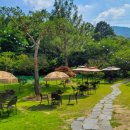 예이제448 이미지