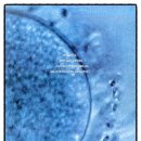 미래유전자 이미지