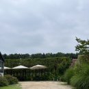 한국정 | 이천 카페 “티하우스에덴”