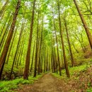 화인목욕탕 이미지