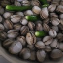 서천-4 | [농라] 서천선도수산 동죽 4kg 후기