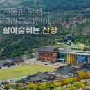 산청곶감축제 산청가볼만한곳 산청9경