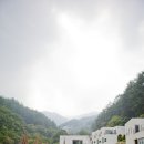 뮤지엄스테이 이미지