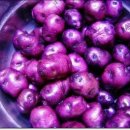 보랏빛향기 이미지