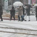 내일 ‘최대 10㎝’ 대설, 경기도 재대본 ‘비상1단계’ 가동 이미지