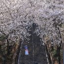 침산공원 이미지