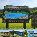 일출물빛 이미지