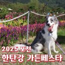 누리켄넬 | 포천 한탄강 가든페스타 가을꽃축제 중대형견 반려견 동반 솔직 후기