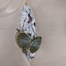 도봉-도봉-서울도봉-2286 이미지