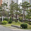 주례초등학교 병설유치원 이미지