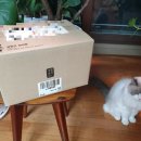 멍냥이 공작소 | [생활공작소] 펫 집착 청소포&amp;펫 탈취제