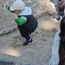 진도 카멜리아 힐즈 오토캠핑장 이미지