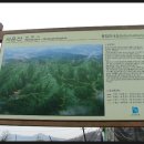 매호농장 | 서운산 산행기('10.4.10, 토)