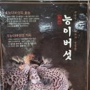 샘터유황오리
