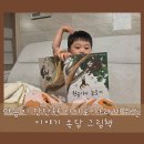 마음이 즐거워지는 그림책 이야기 | 마음이 단단한 아이로 자라게 하는 이야기 속담 그림책